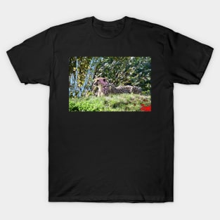 Gepard / Swiss Artwork Photography T-Shirt